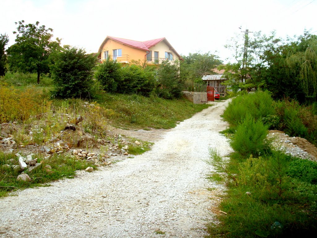 Turda - Str. Alunisului - Zona Paraului Mic Sarat - (2009.08.18) by Ana Maria Catalina