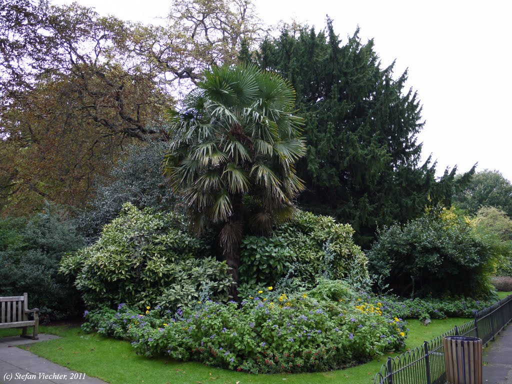 Hyde Park, London, UK by Stefan Viechter