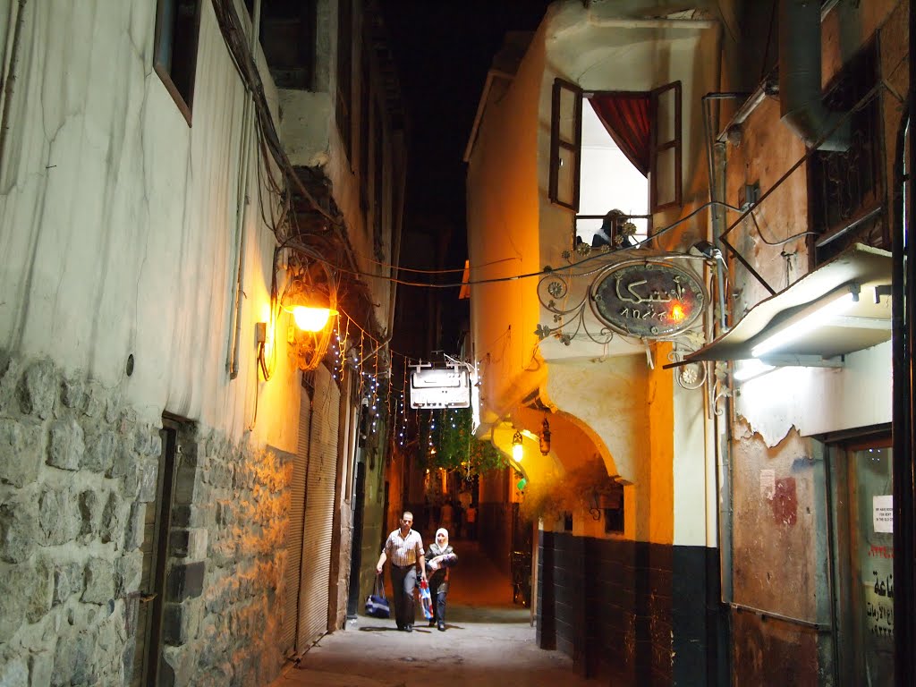 Street in Old Damascus by Laura