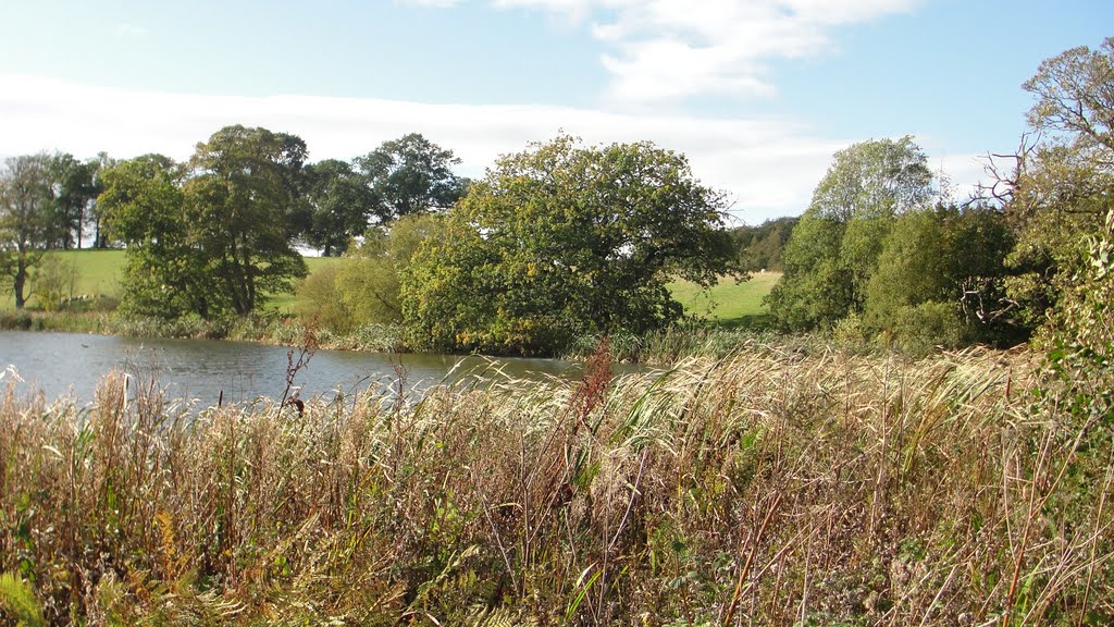 Belsay Hall Lake by Julie W