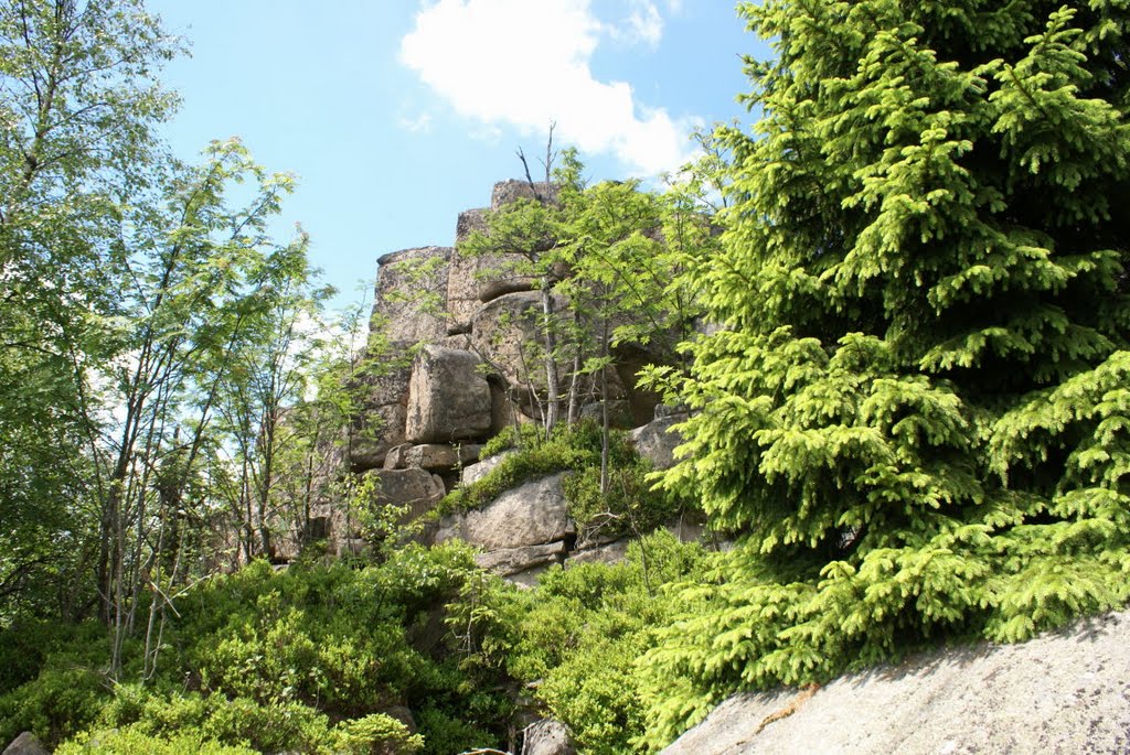 Obere Zeterklippen (Harz) by Atheistin