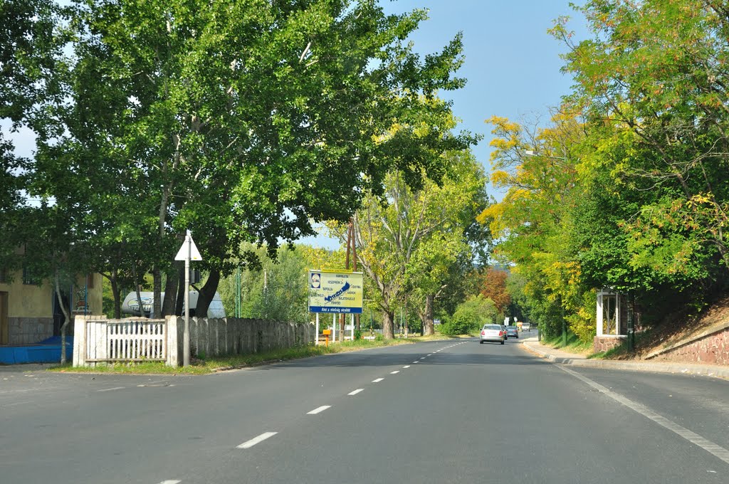 Balatonfűzfő by maiermo