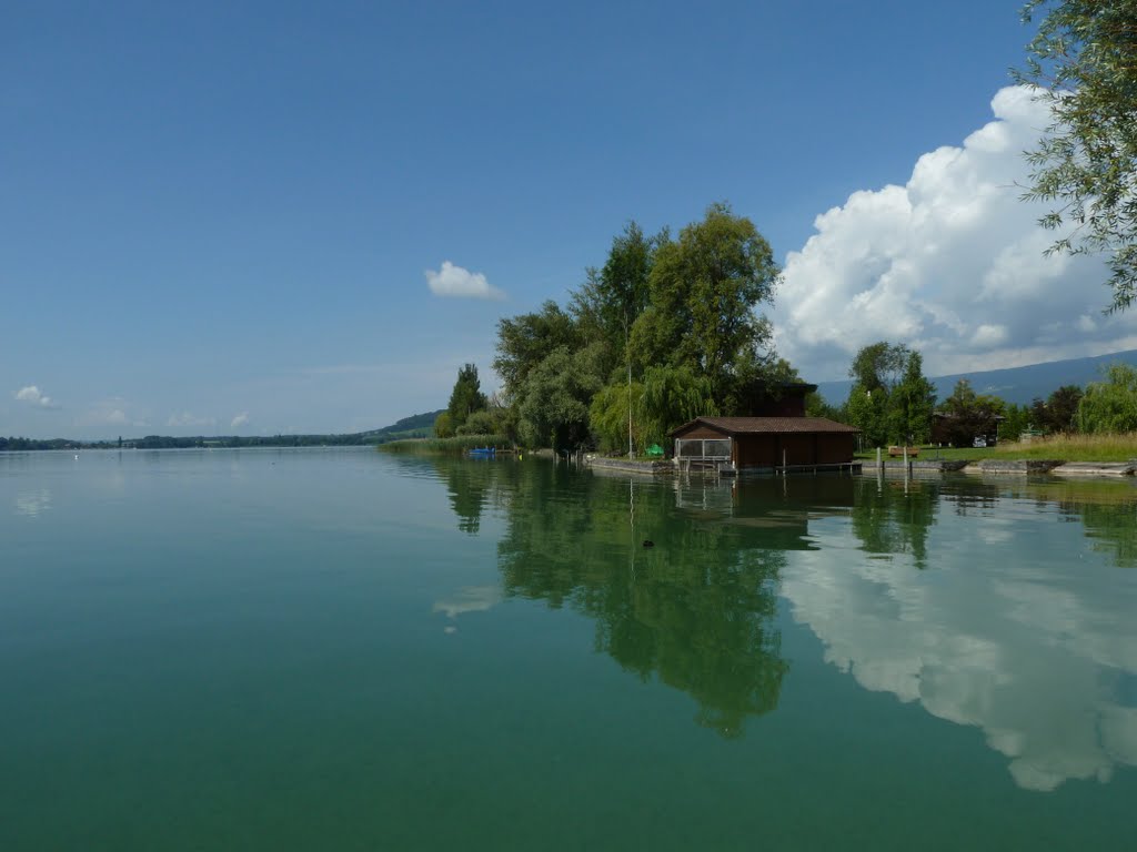 Bielersee und St. Petersinsel by sibir