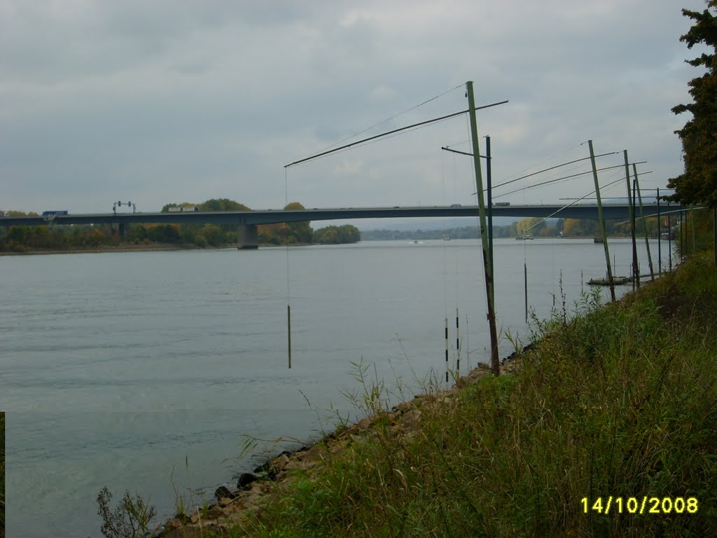 Rhein und Schiersteiner Brücke by G.Koch, Wiesbaden