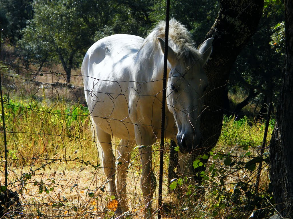 Almonaster la Real, Huelva, Spain by Miguel Ángel Mato