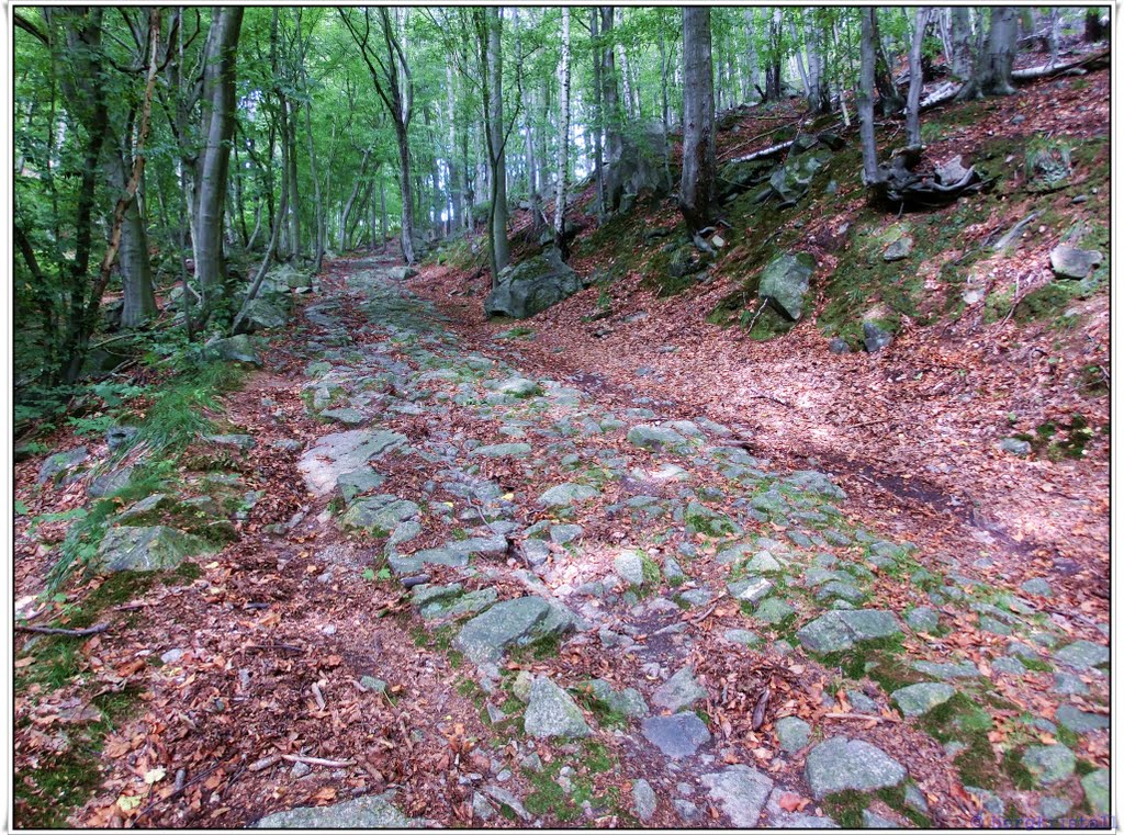 Bergmannstieg an den Sommerklippen by bergkristall Harz