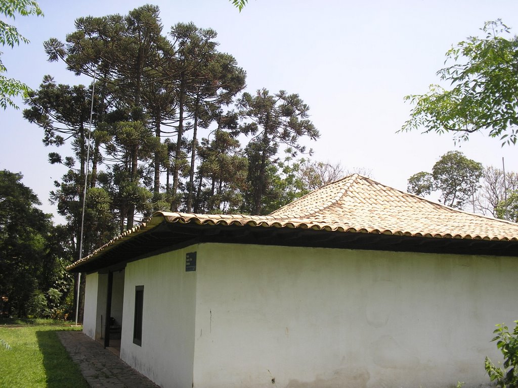 Casa do Sertanista com Araucárias ao Fundo - São Paulo - Brasil by Marcelo Parise Petazoni (Brasil)