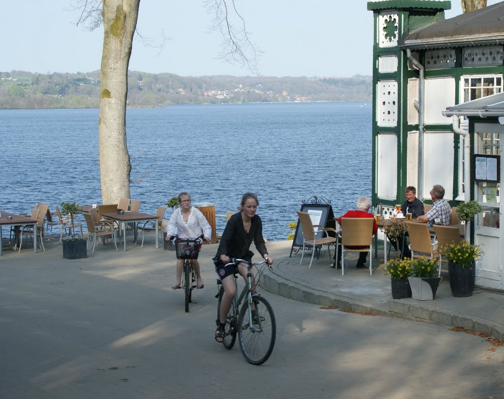 Spring at Julsø by Jens Cederskjold