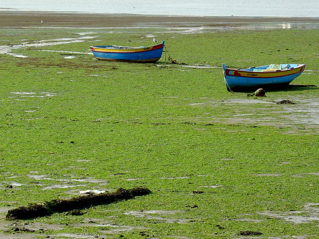 Baía do Seixal_Arrentela by P. Mendonça