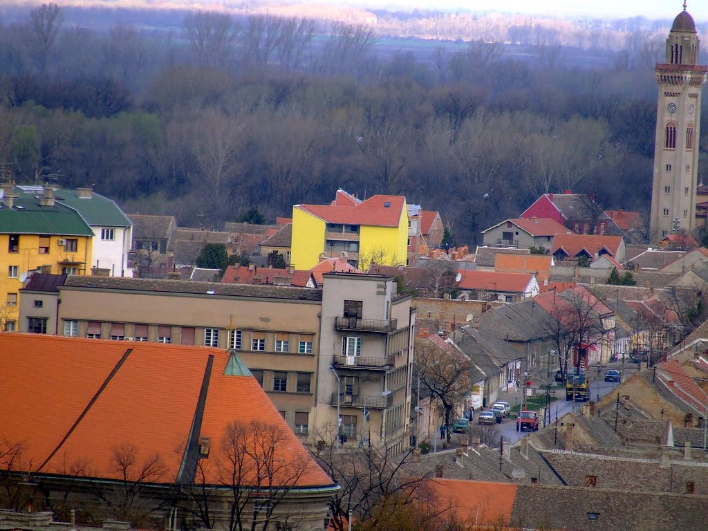 Pogled na vodnu zajednicu by Sekeres Dragan