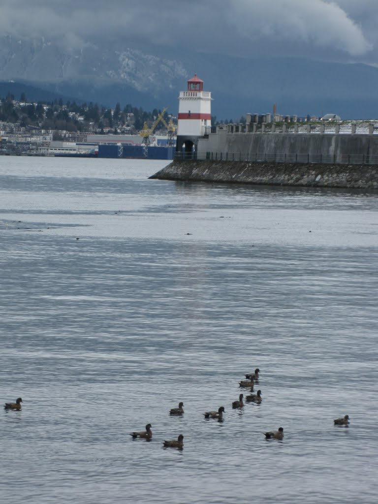 Ducks and Brockton Point Light by UnagiUnagi