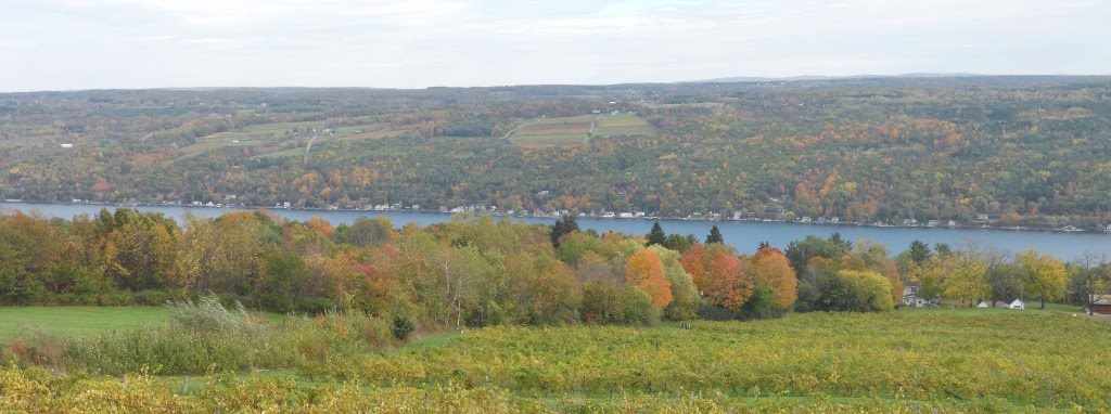 Autumn View from Bully Hill by mcvaughn