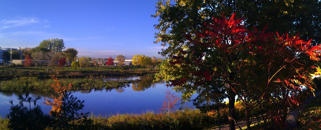 Vanier, Québec City, QC G1M, Canada by Urek Wyder