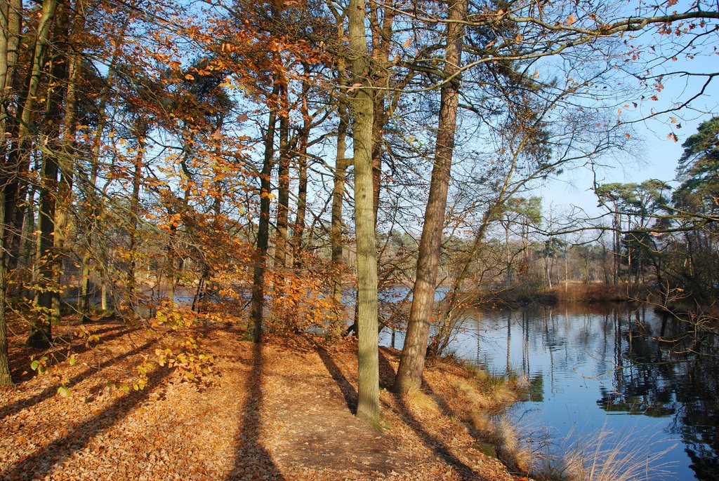 Oisterwijkse Bossen en Vennen by Jolein