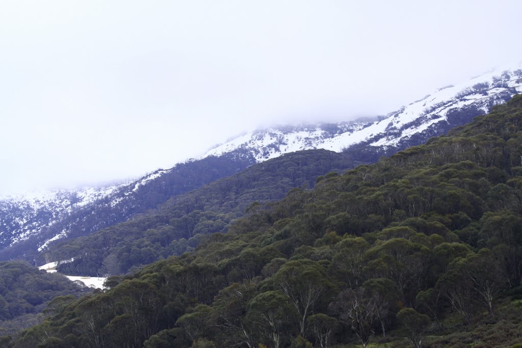 Thredbo by ada wojtys