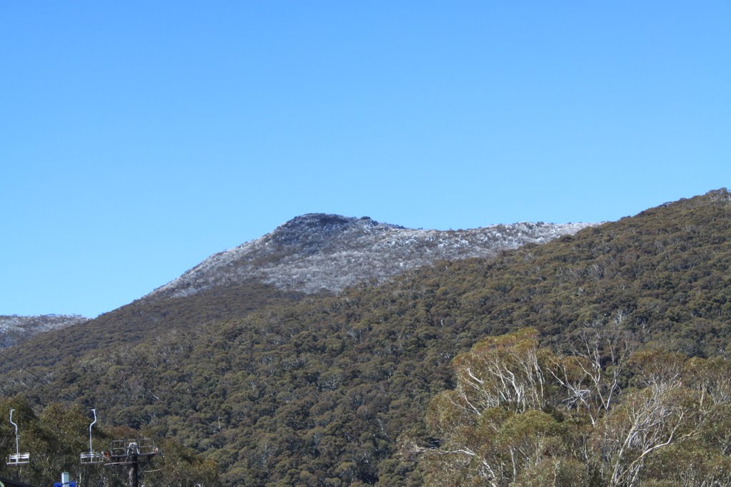 Thredbo by ada wojtys