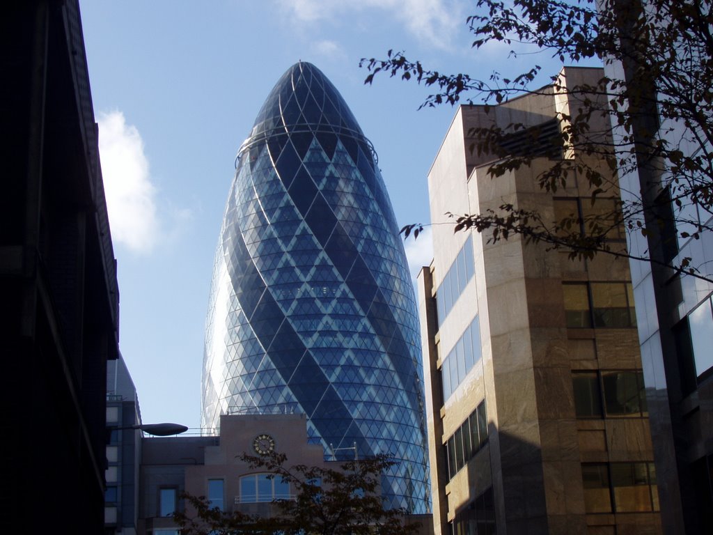 The Gherkin by steve poxon