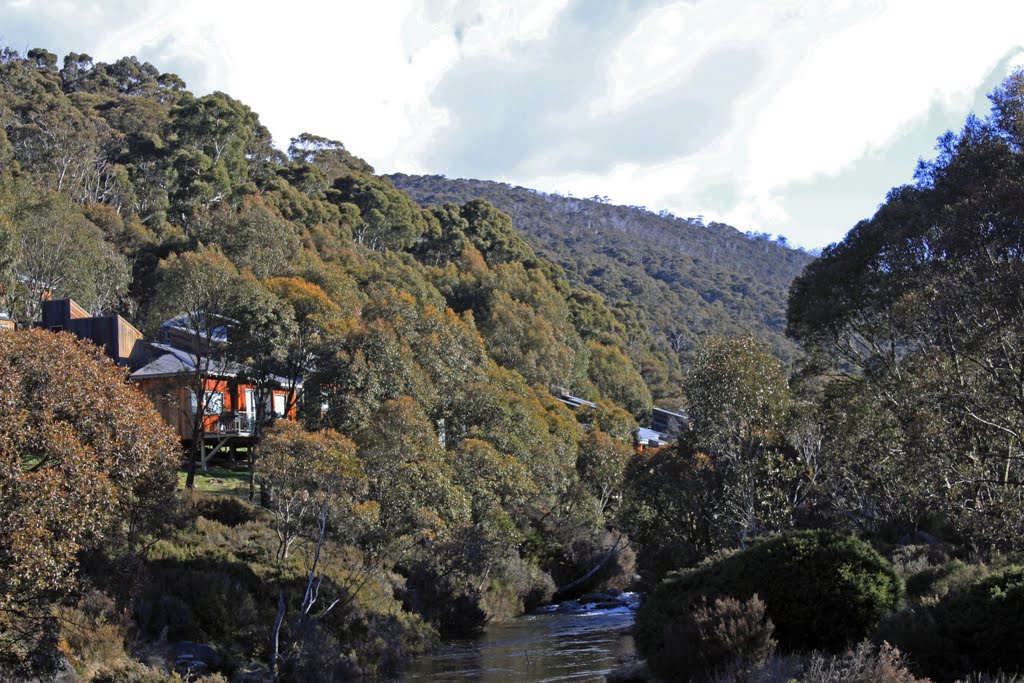 Thredbo by Adalee