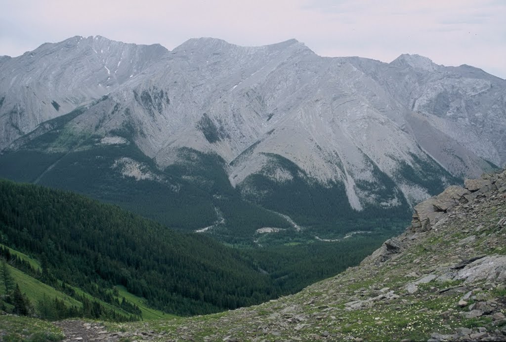 Sheep Valley from Mist Ridge trail by pinkytwo