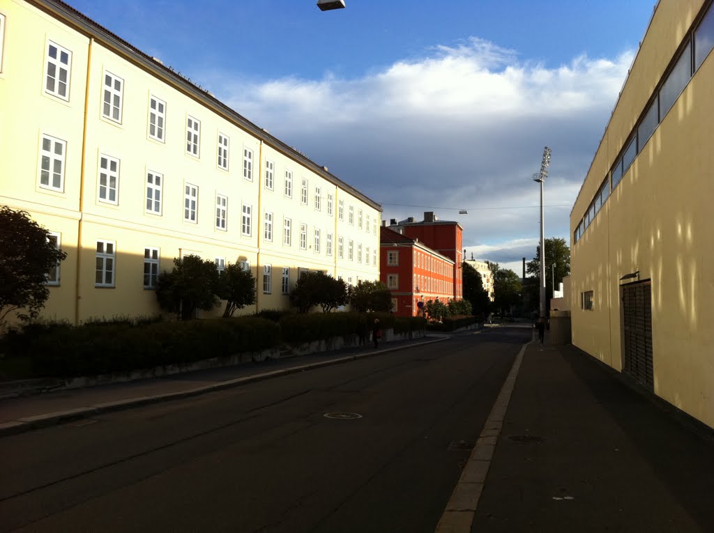 Bislett Stadion, 0168 Oslo, Norway,2011 by DUSKO MARTINOVIC