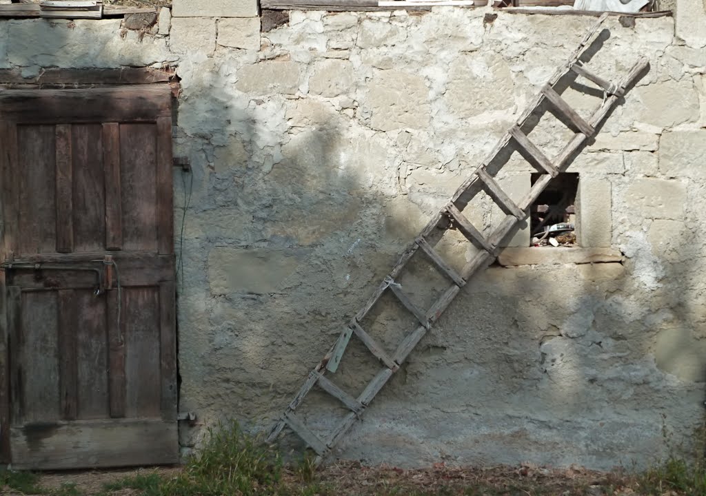 La scala a Tallacano - die Leiter von Tallacano - old stairs from Tallacano, by pizzodisevo