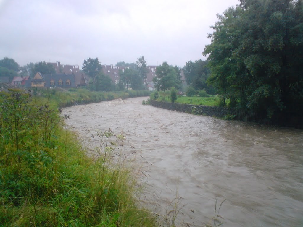 Rzeka Zakopianka, ul. Szkolna by scoorvyson