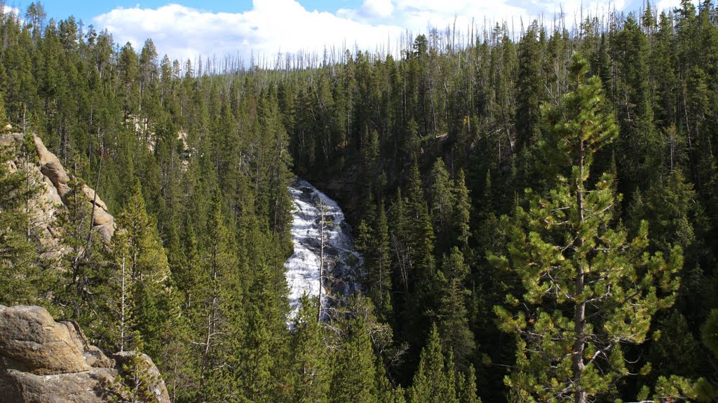 Virginia Cascade, between Norris Geyser Basin & Canyon Village by victor.peter@bluewin.ch