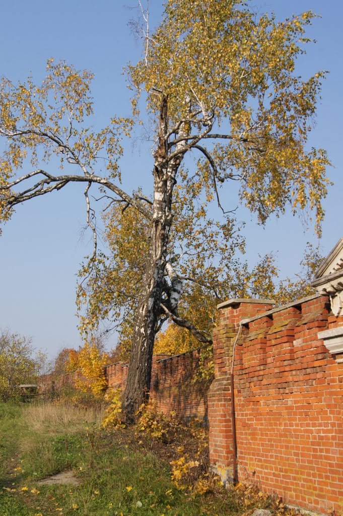 Domodedovsky District, Moscow Oblast, Russia by Olga Ivanova