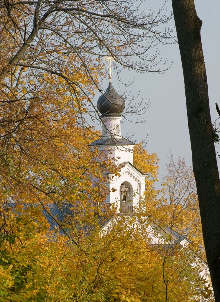 Domodedovsky District, Moscow Oblast, Russia by Olga Ivanova