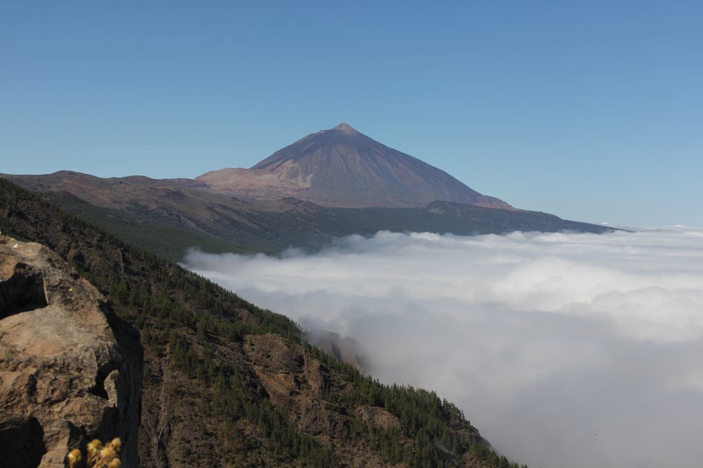 National park Teide,Tenerife by Milan Hlaváč