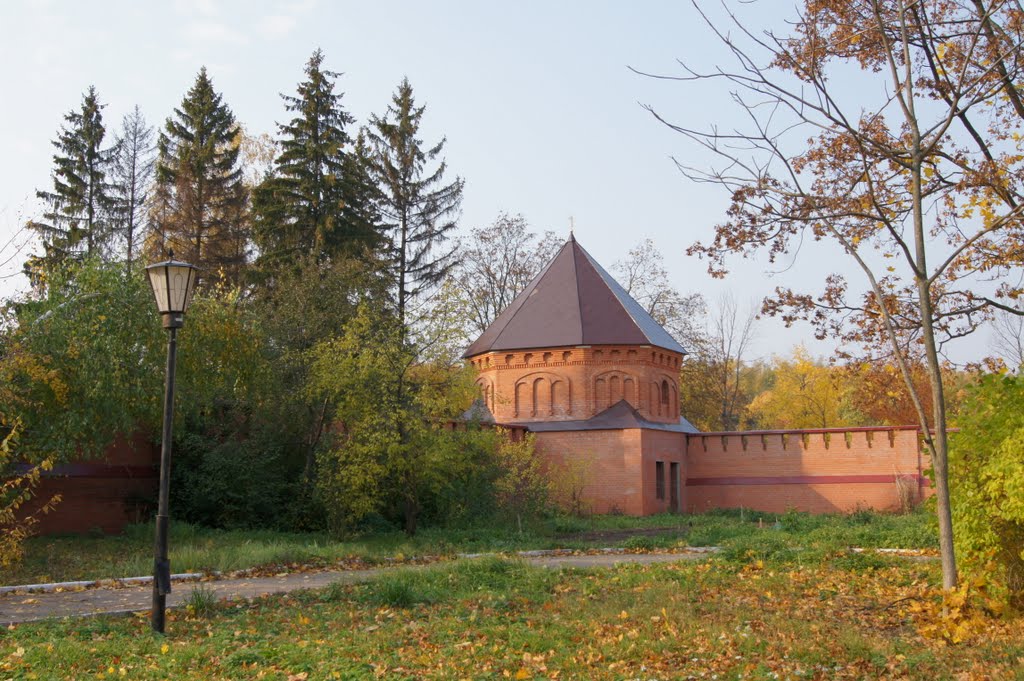 Leninsky District, Moscow Oblast, Russia by Olga Ivanova