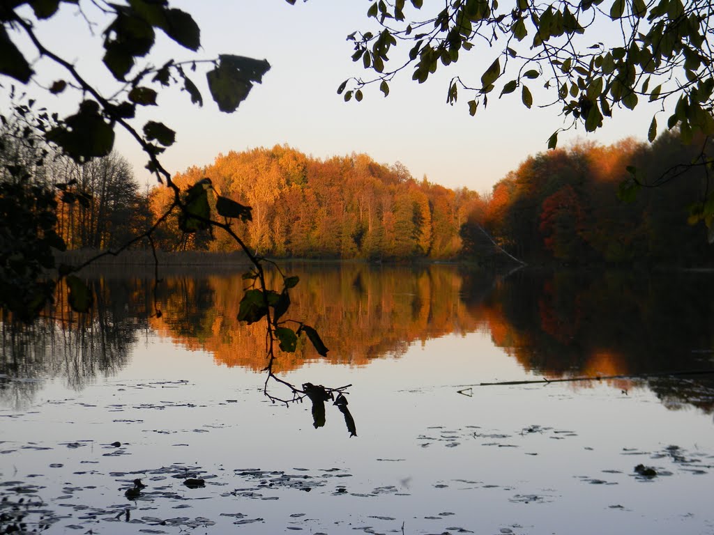 Szurpiły - jezioro Jeglówek by zamek1959