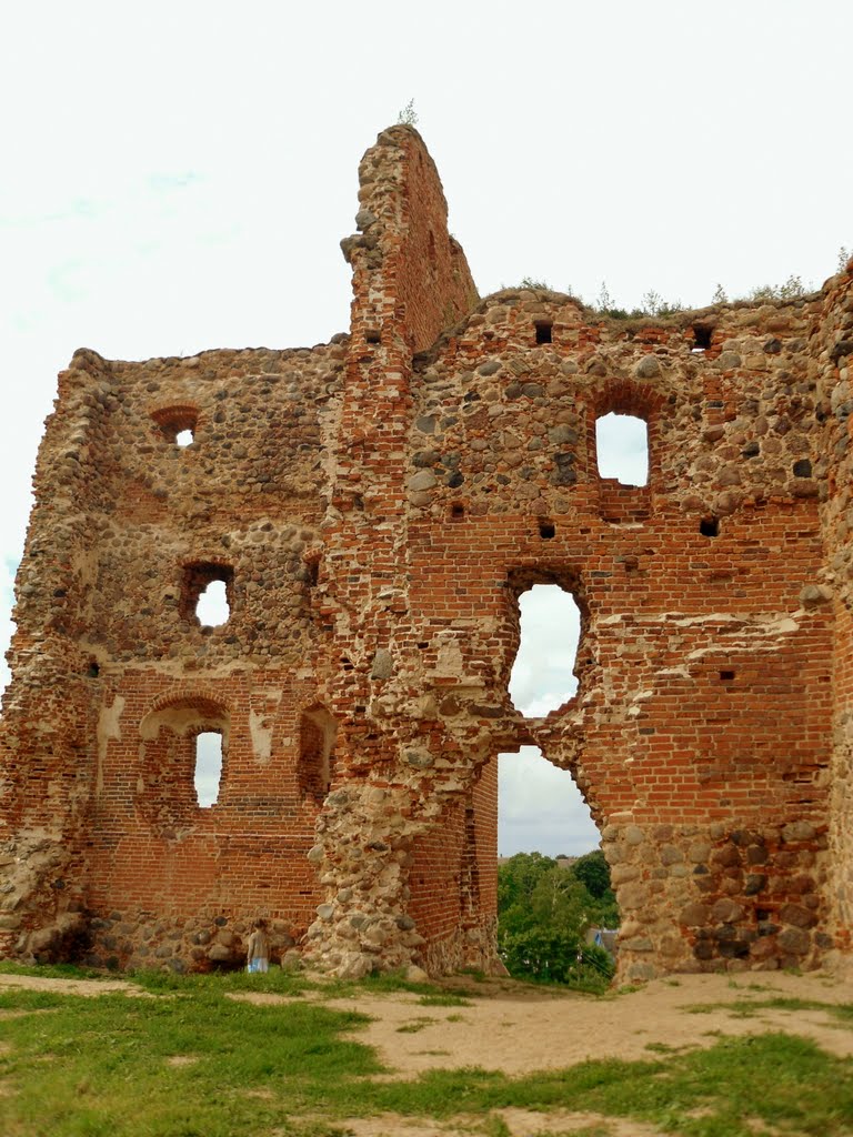 Ludza Castle ruins by vipe