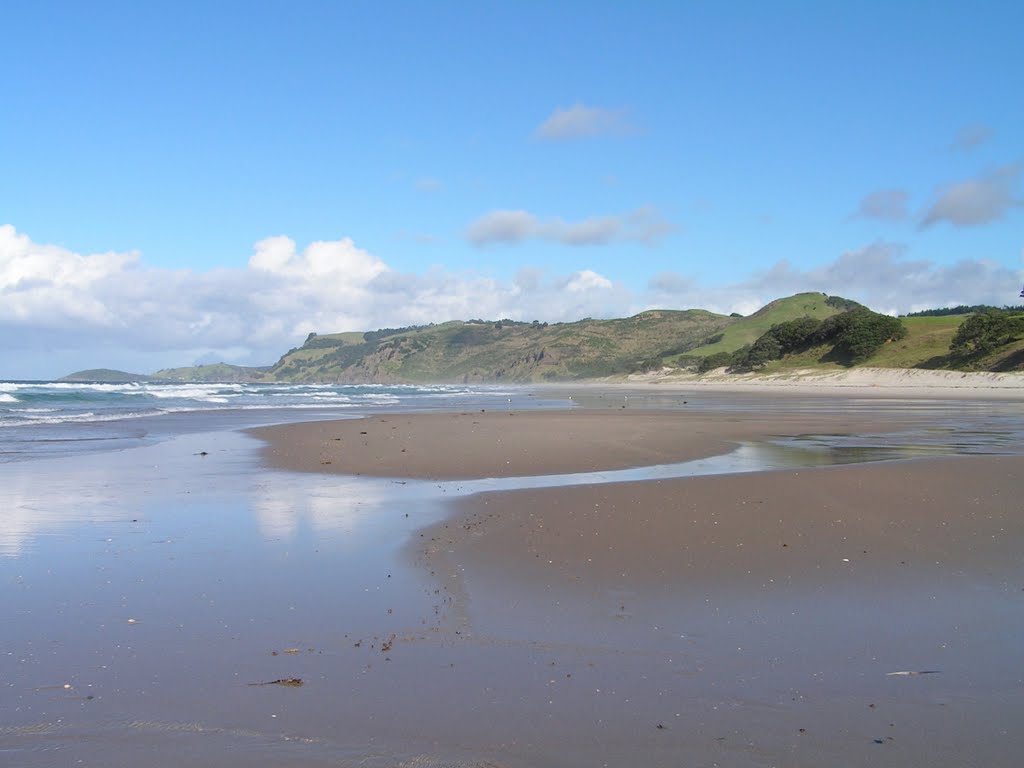 Pakiri beach by AL01