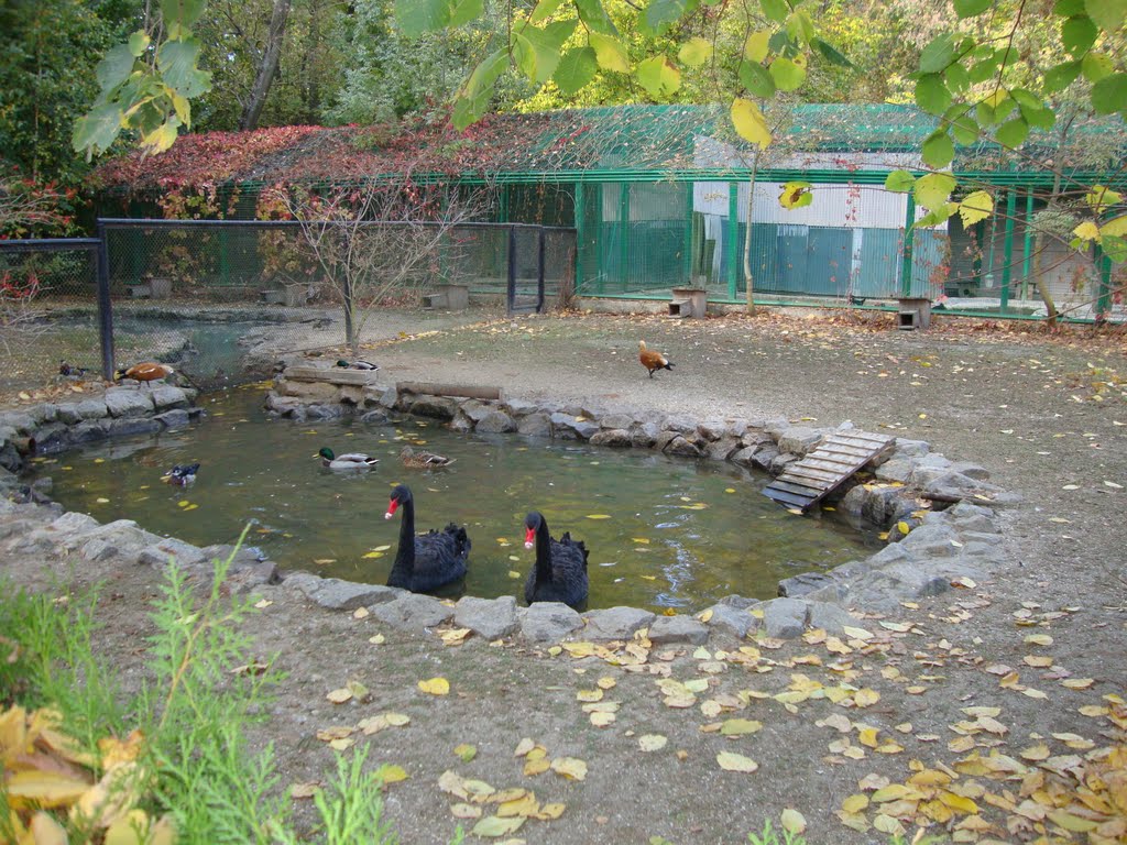 Chaplyns'kyi district, Khersons'ka oblast, Ukraine by olga288