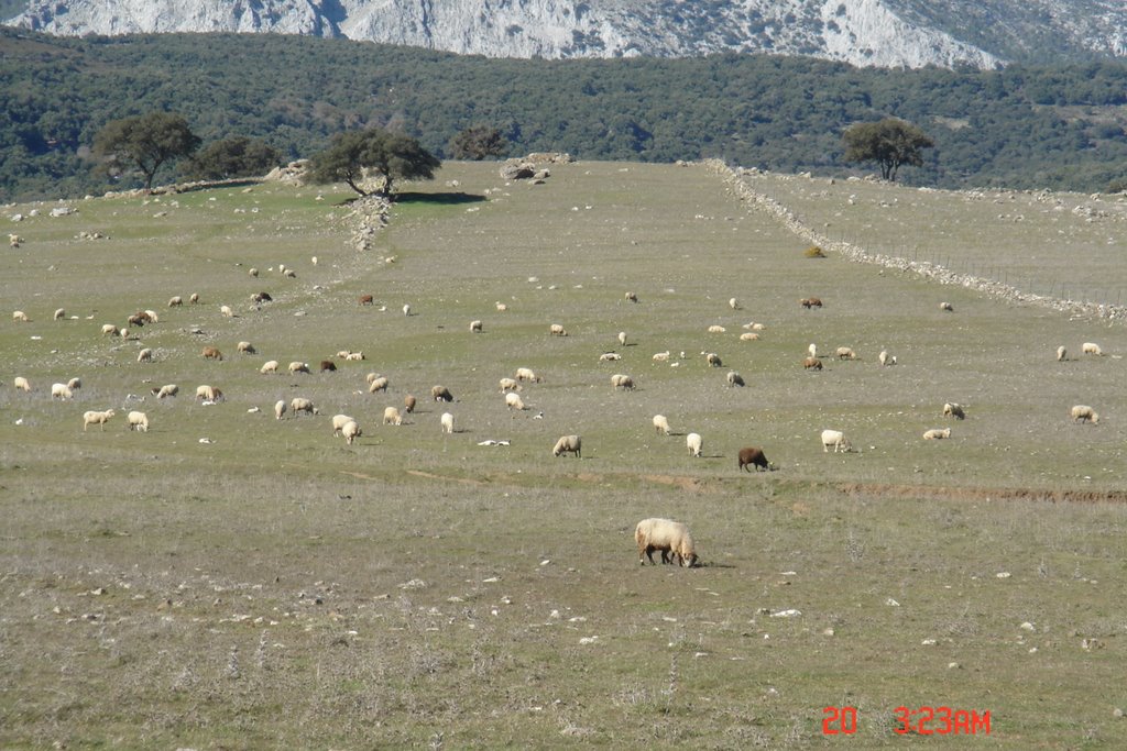 Llanos republicano by baluty