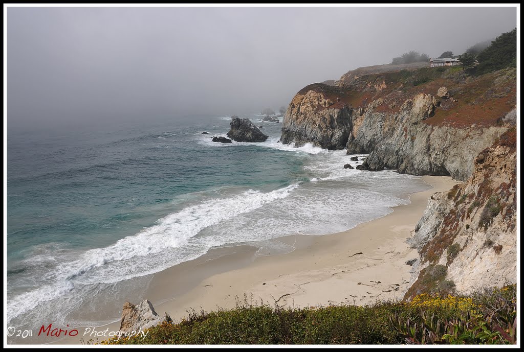 Calif Sea Otter State Game Refuge by Mario Kaupe