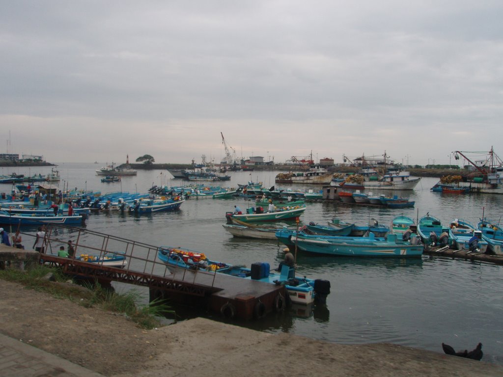 Esmeraldas, Puerto Pesquero by Diego Santander