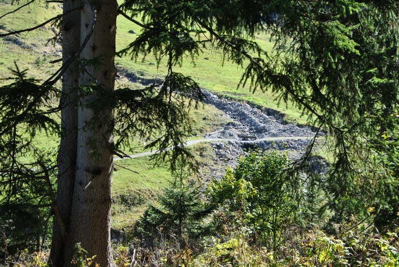 Kleinwalsertal, Mittelberg, Auf dem Gemstelboden by jela0002