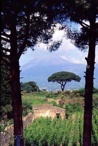 Da pompei by Angelo Poletti