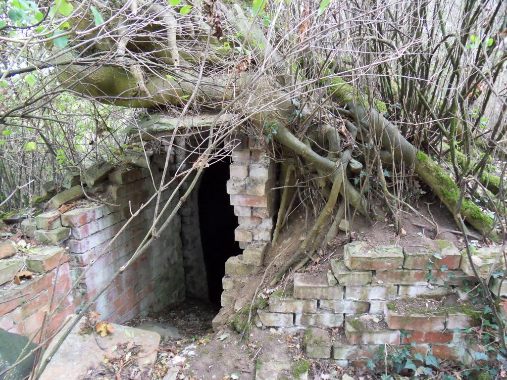 Rare find a Victorian or earlier Ice House at Great Glen by Bobsky.