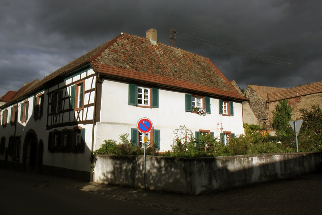 Hof in Bischoffingen by koelnfotograf7750