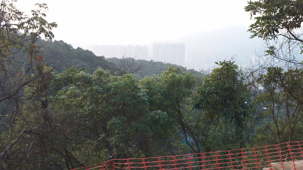 Lion Rock, Hong Kong by Pong Siu