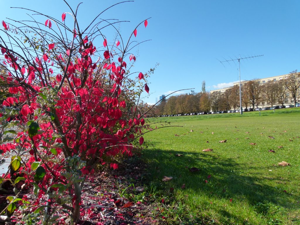 Parc de l'Ariana by Magda GHALI