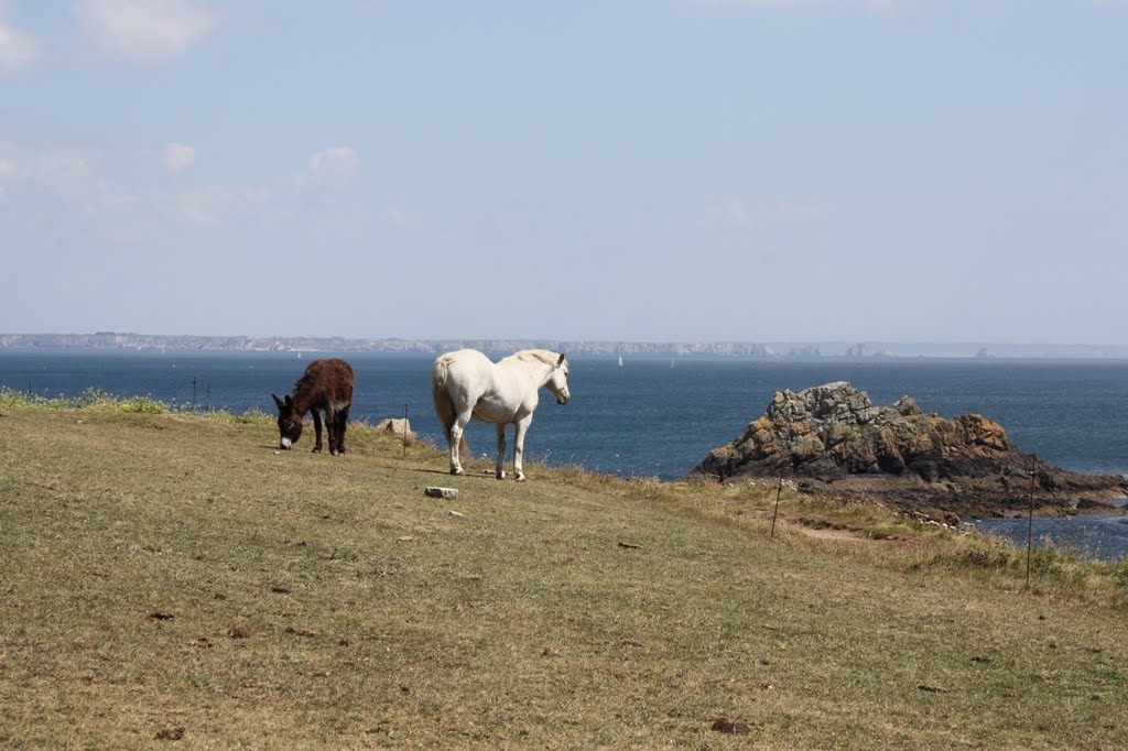 Ane et cheval by joel.herbez