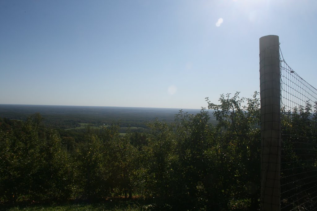 Apple Orchard, Charlottesville by Michael.O.