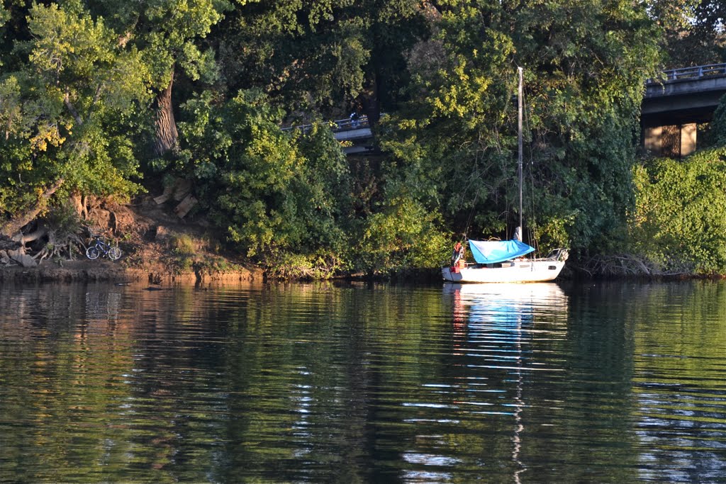 American River by Buddy Rogers