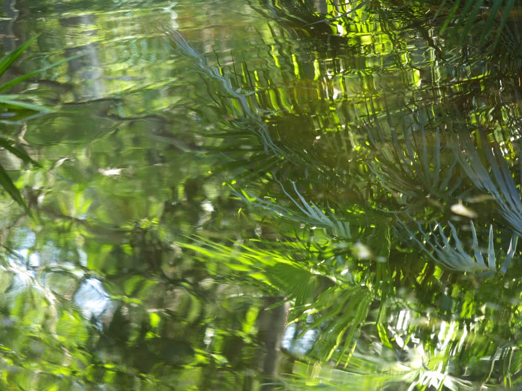 Parque Kabah. Cancún. México. by Antonio Cristerna