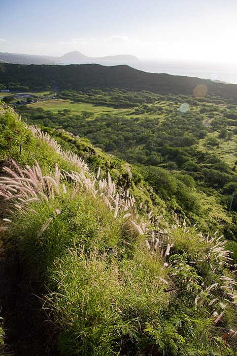 Diamond Head Crater Hike 2 by Pictographer