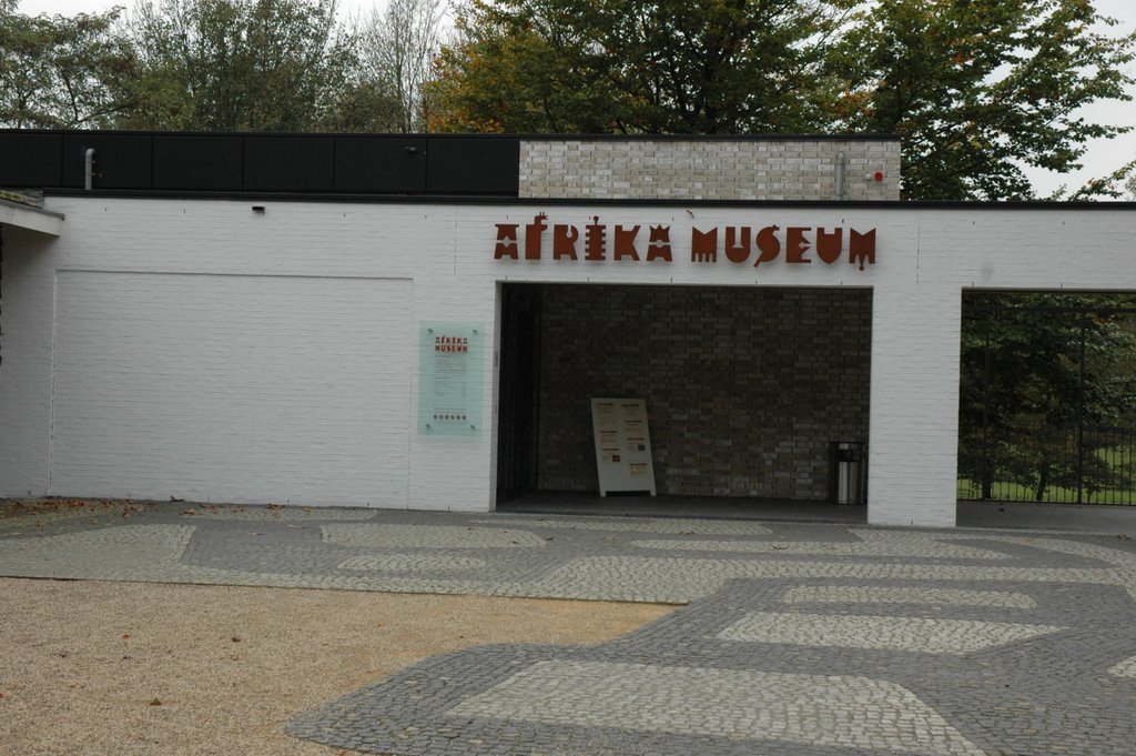 Afrika museum - Berg en Dal by Rokus Cornelis